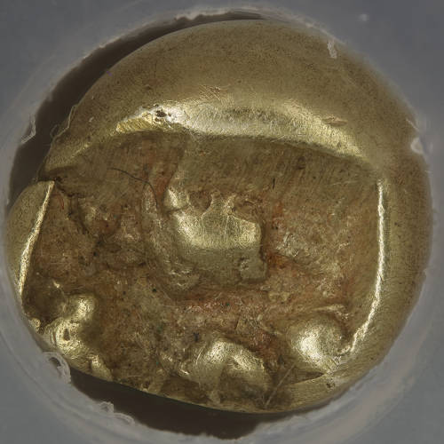 Post-Your-Coins-Representing-The-Animal-Kingdom.